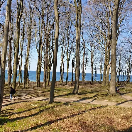 Domizil Mit Stil Im Gutspark *